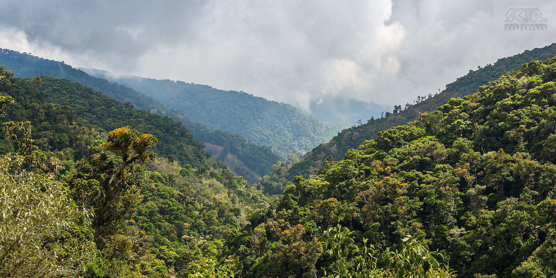 San Gerardo de Dota We finished our journey in the valley of San Gerardo de Dota in the Talamanca mountains. It is a wonderful valley in the cloud forest. A cloud forest is a tropical or subtropical, evergreen and moist forest characterized by a persistent clouds and fog. The trees are covered by epiphytes like mosses, algae, lichens, orchids, bromeliads, ... Stefan Cruysberghs